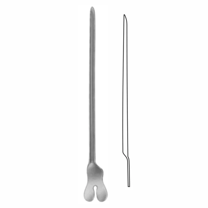 1-125-1.webp Dissecting Forceps - Image 1