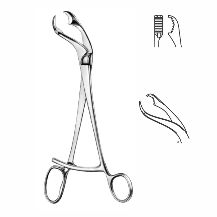 1-17.webp Bone Holding Forceps, Amputation Retractors - Image 1