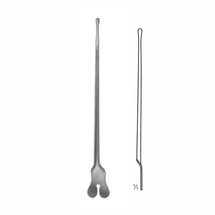 2-28-1.webp Dissecting Forceps - Image 1