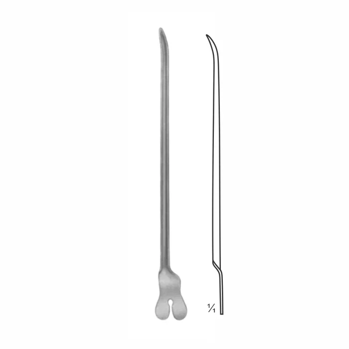 3-25-1.webp Dissecting Forceps - Image 1