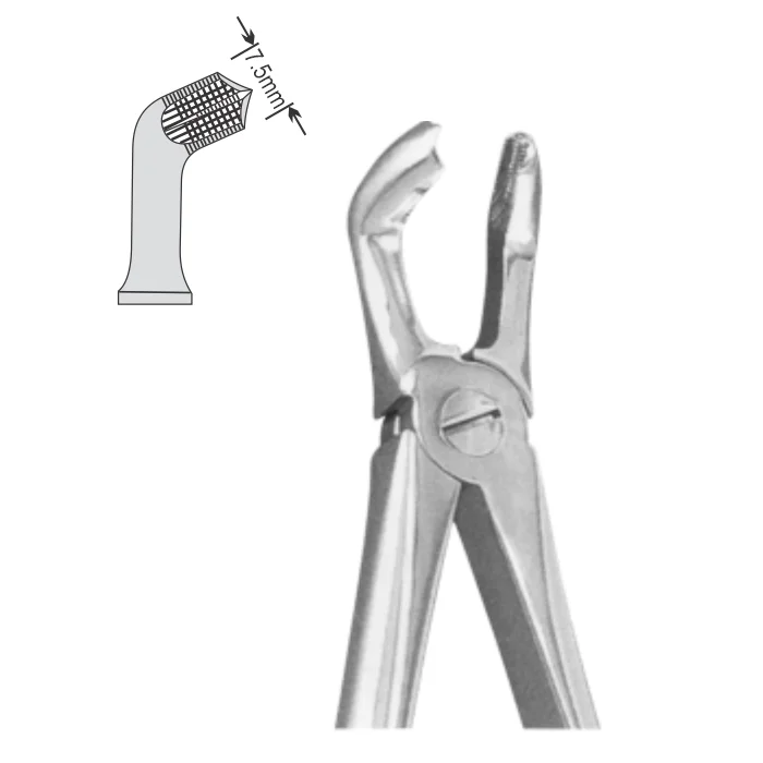 43.webp EXTRACTION FOCEPS STANDARD ENGLISH PATTERN - Image 1