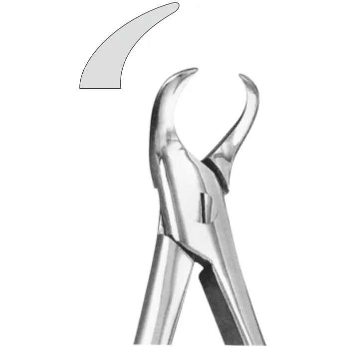 47.webp EXTRACTION FOCEPS STANDARD ENGLISH PATTERN - Image 1