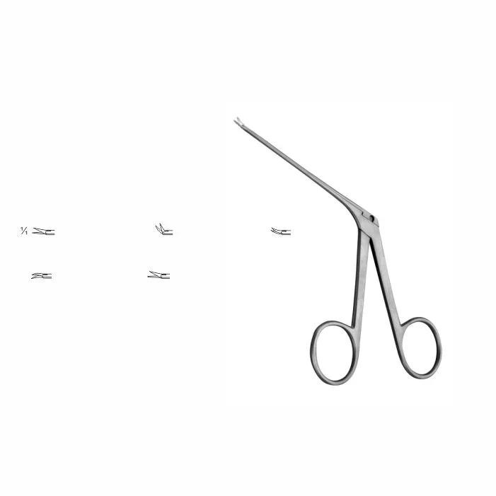 51-6-1-1.webp Micro Ear Forceps, Micro Ear Scissors - Image 1