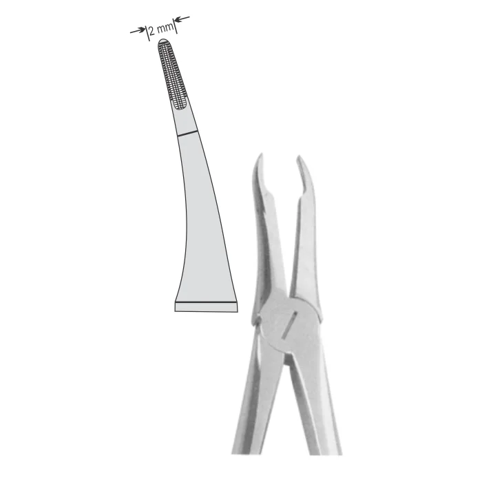 56-1.webp EXTRACTION FOCEPS STANDARD ENGLISH PATTERN - Image 1