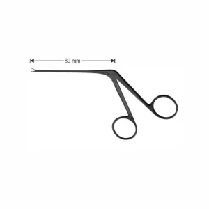 Micro Ear Forceps