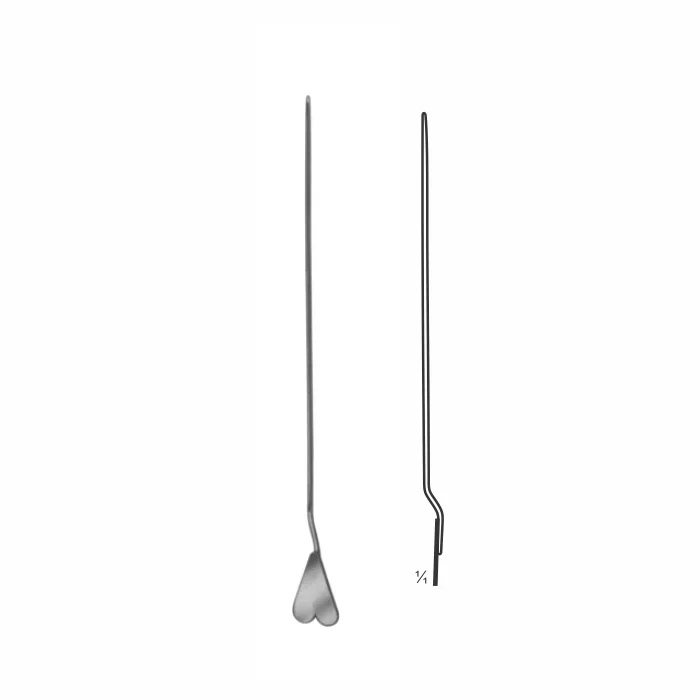 6-28-1.webp Dissecting Forceps - Image 1