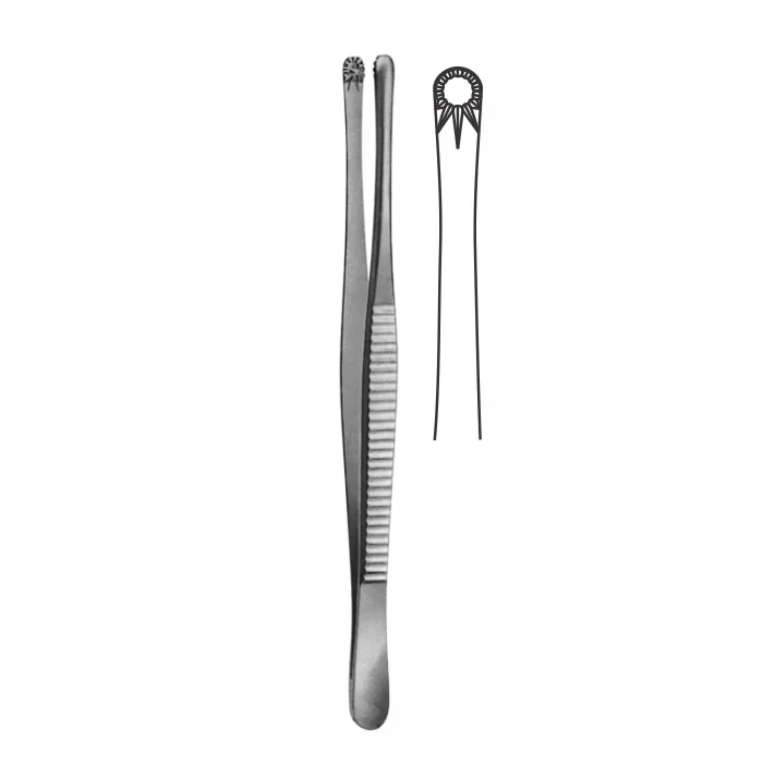 66-1-2.webp Tissue Forceps - Image 1