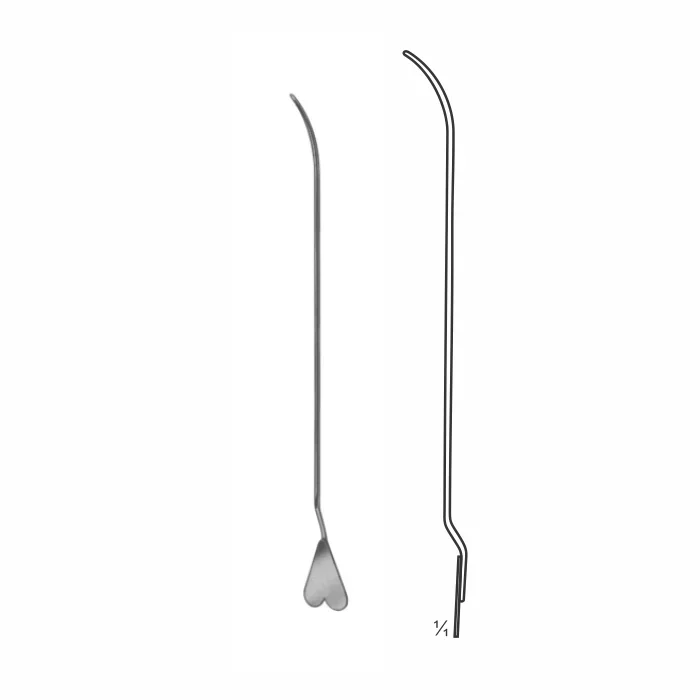 7-25-1.webp Dissecting Forceps - Image 1