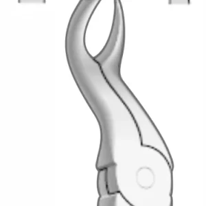 EXTRACTION FOCEPS WITH ANATOMICAL GRIP