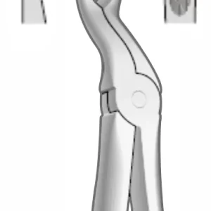 EXTRACTION FOCEPS WITH ANATOMICAL GRIP