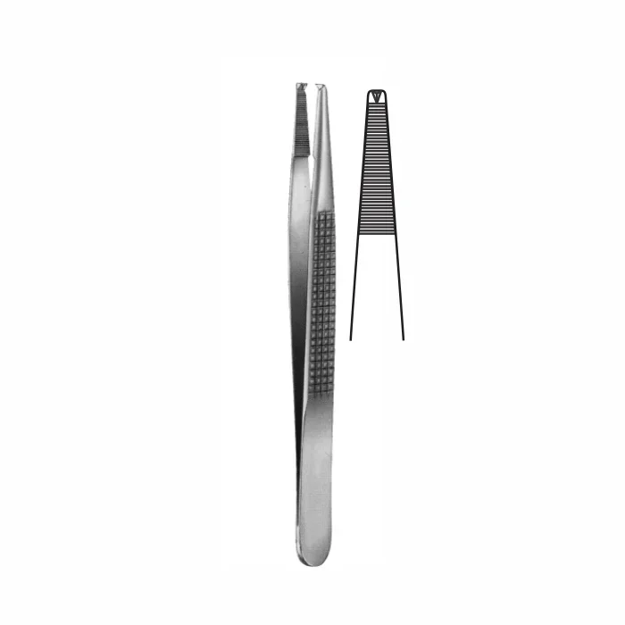 74-3-1.webp Tissue Forceps - Image 1