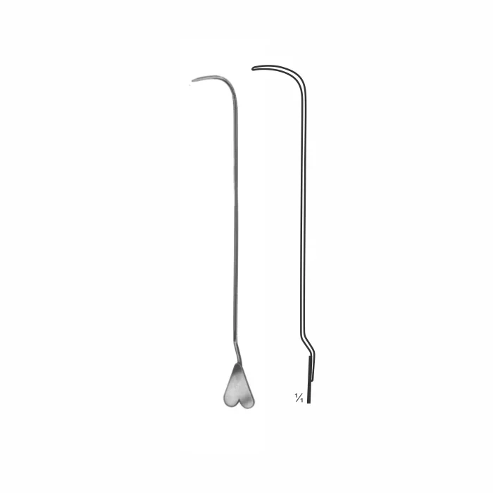 8-25-1.webp Dissecting Forceps - Image 1