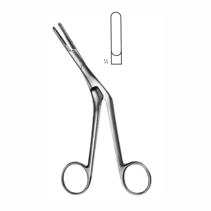 8-32-1.webp Septum Forceps - Image 1